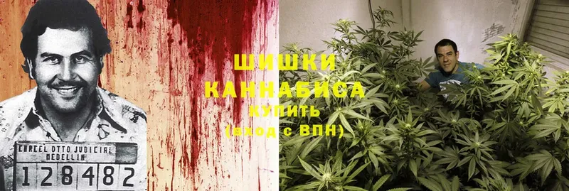 даркнет сайт  Ирбит  Канабис White Widow 